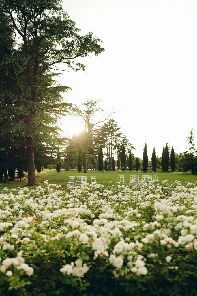 Flower fields at Chateau Mukhrani in Georgia